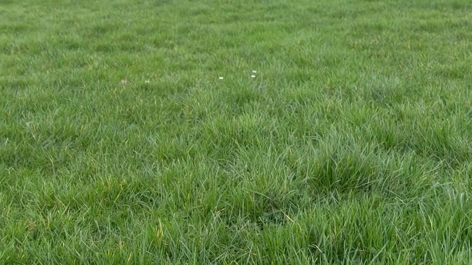 Getting kids more active through Found Football